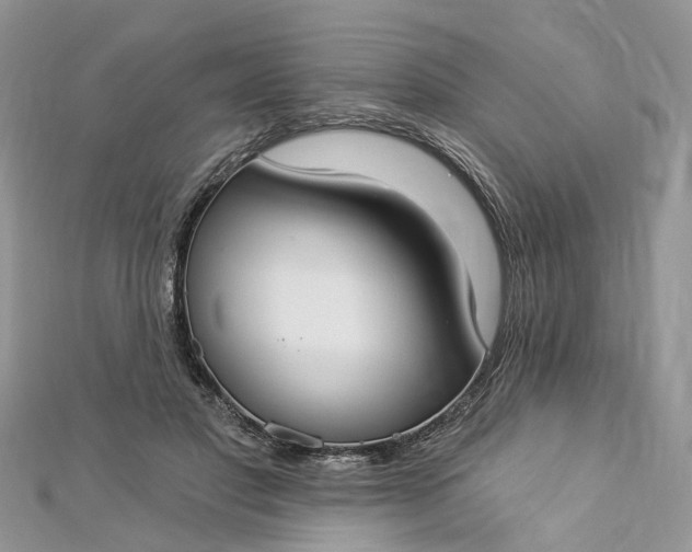 X0000112820501200909041518