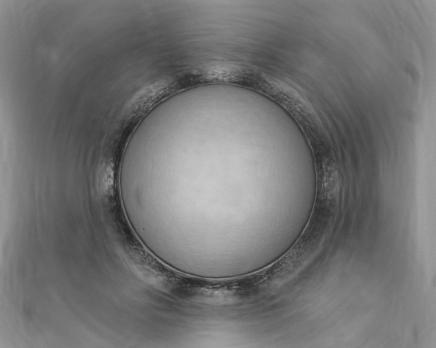 X0000112820502200909041517