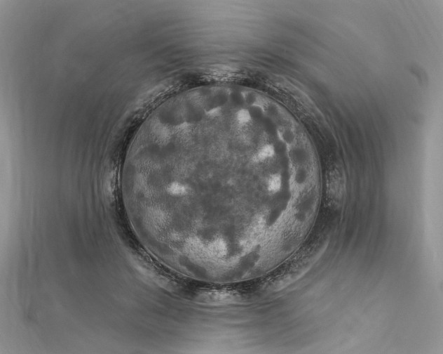 X0000112820503200909041517