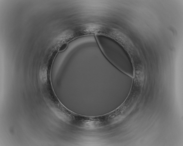 X0000112820504200909041517