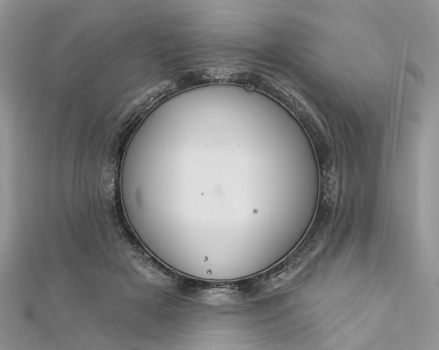 X0000112820505200909041517