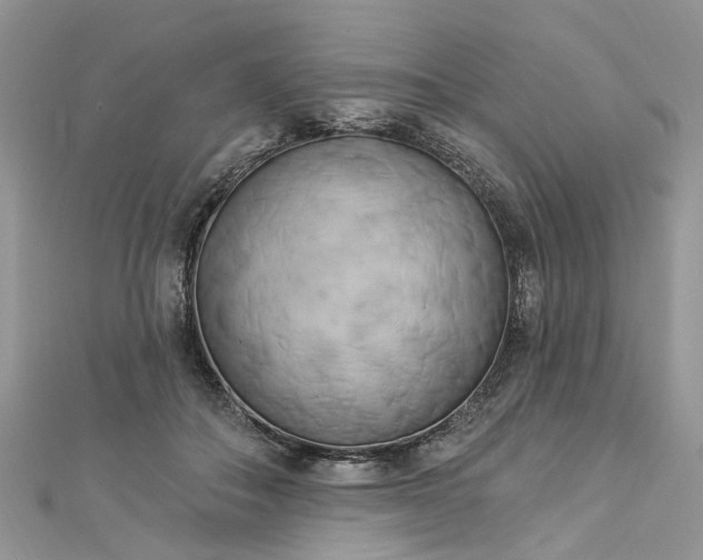 X0000112820506200909041517