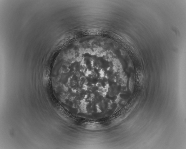 X0000112820507200909041517