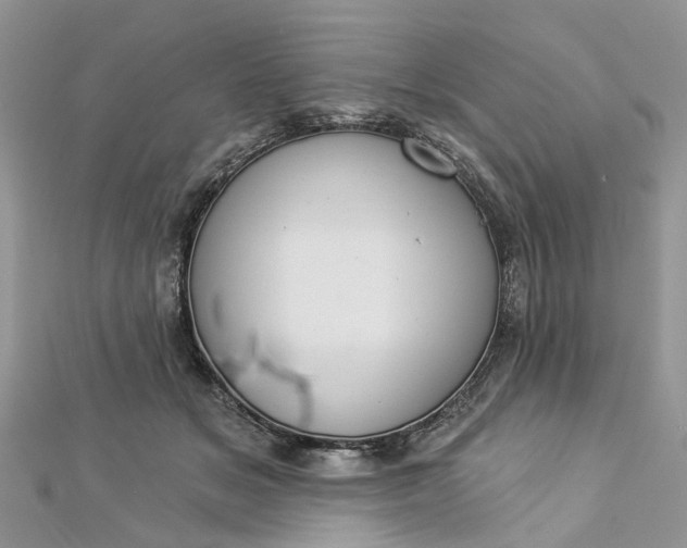 X0000112820509200909041517