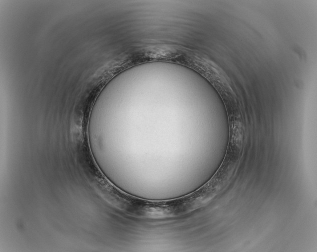 X0000112820510200909041517