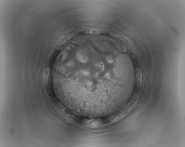 X0000112820511200909041517