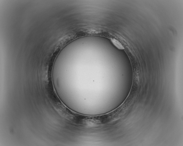 X0000112820512200909041517