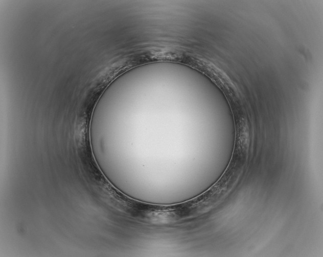 X0000112820513200909041517