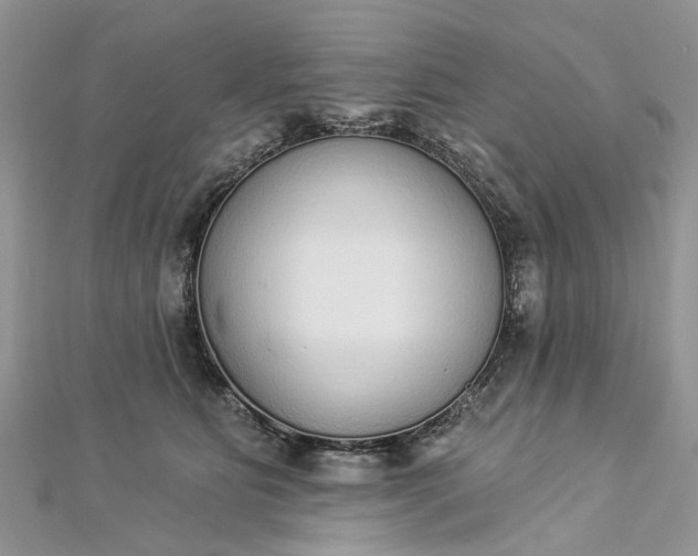 X0000112820515200909041517