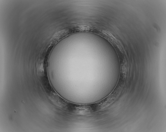 X0000112820516200909041517