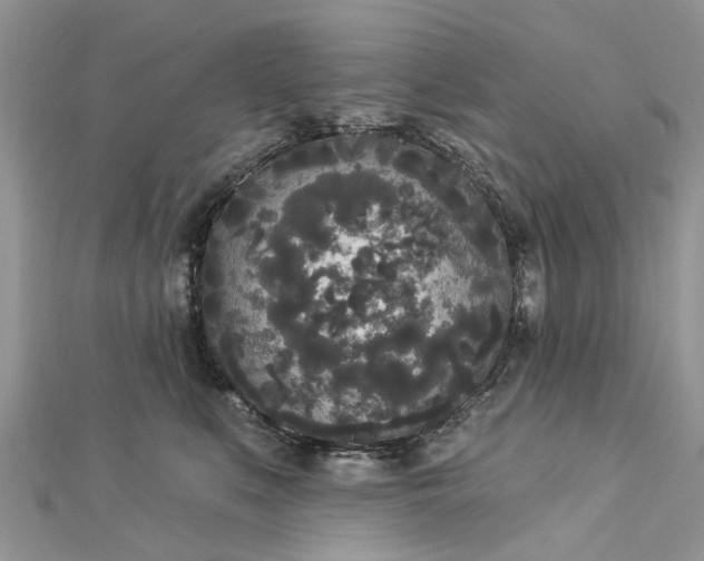 X0000112820519200909041517