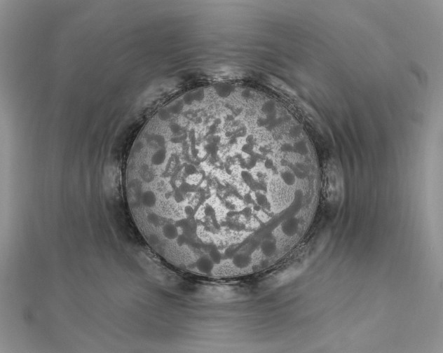 X0000112820523200909041517