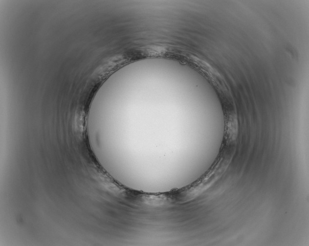 X0000112820525200909041517