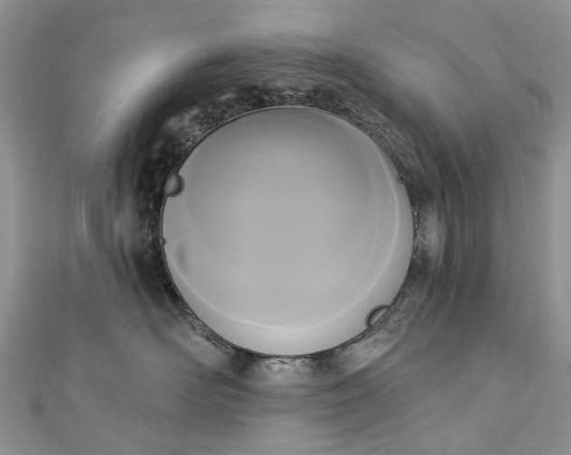 X0000112820526200909041517