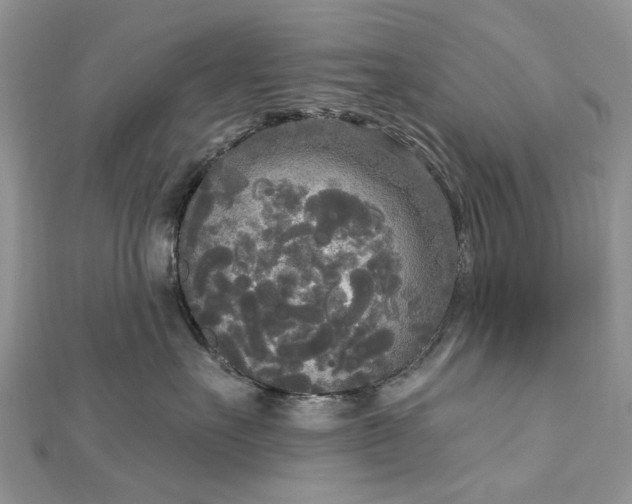 X0000112820527200909041517