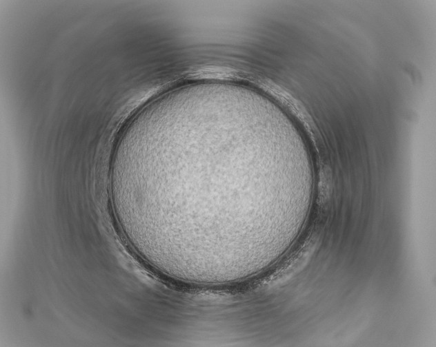 X0000112820529200909041517