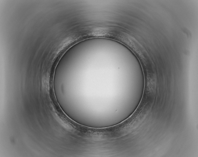 X0000112820530200909041517