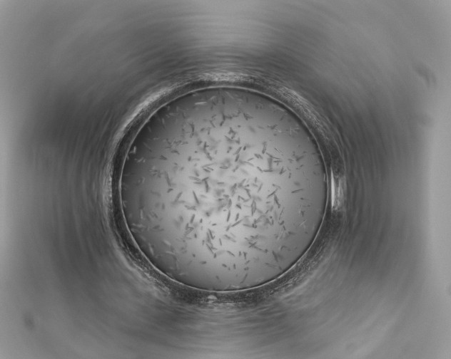 X0000112820531200909041517