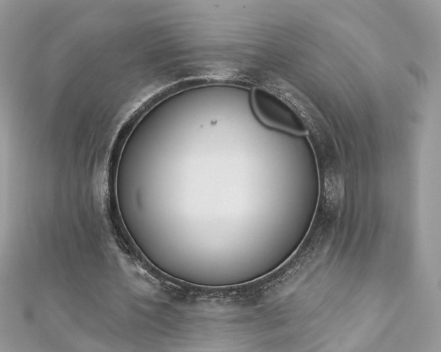 X0000112820532200909041517