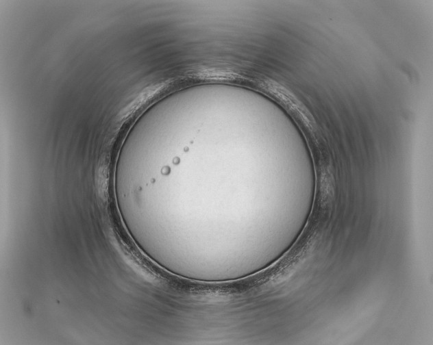 X0000112820533200909041517