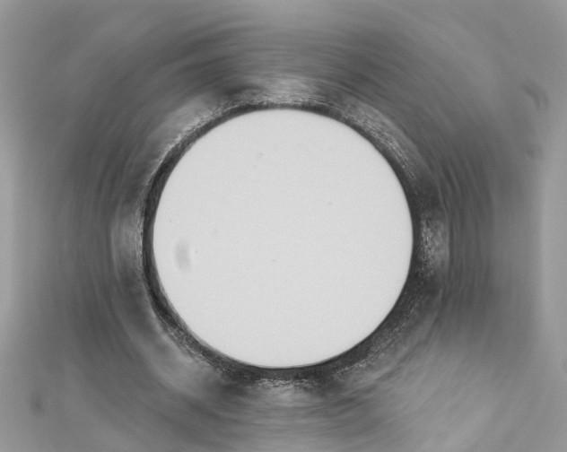 X0000112820534200909041517