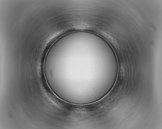 X0000112820535200909041517