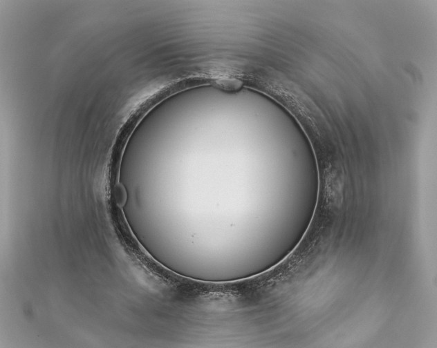 X0000112820536200909041517