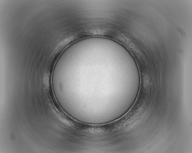 X0000112820537200909041517