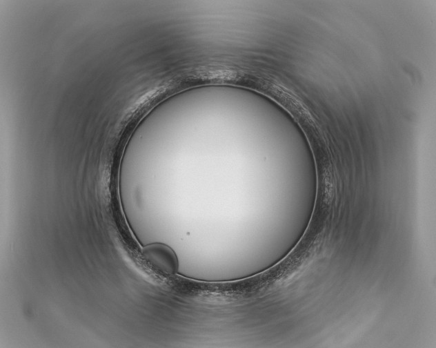 X0000112820538200909041517