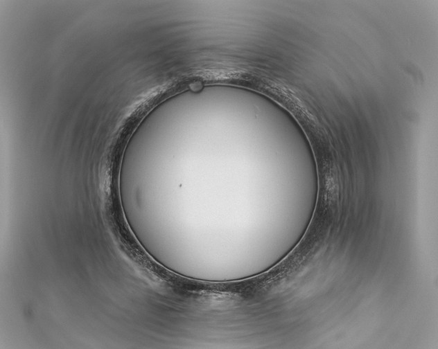 X0000112820539200909041517