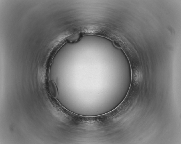 X0000112820540200909041517