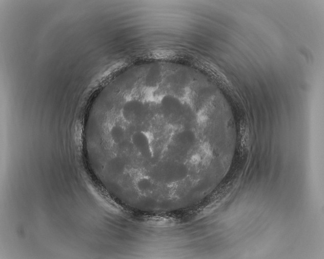 X0000112820542200909041517