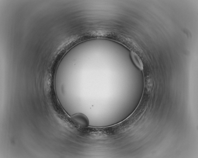 X0000112820544200909041517