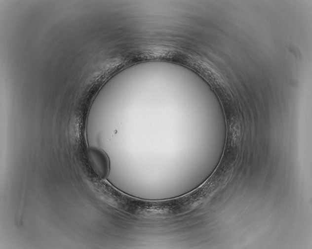 X0000112820546200909041517