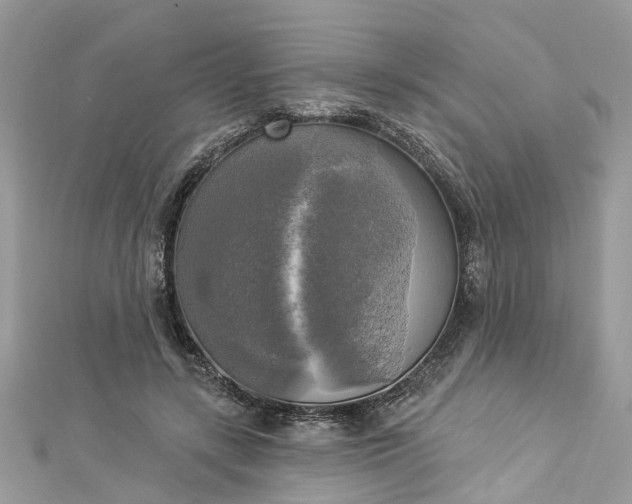 X0000112820547200909041517