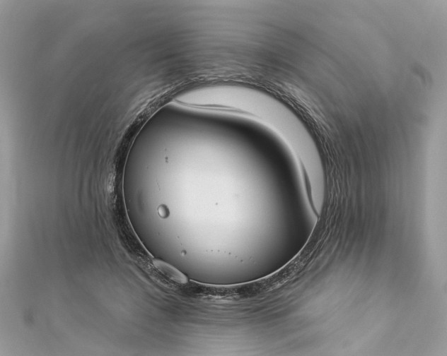 X0000112820548200909041517