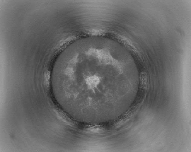 X0000112820550200909041517