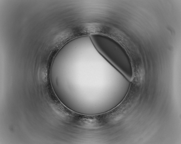 X0000112820552200909041517