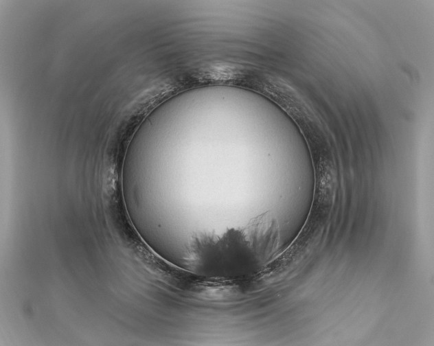 X0000112820555200909041517