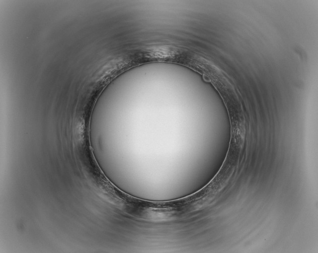 X0000112820556200909041517