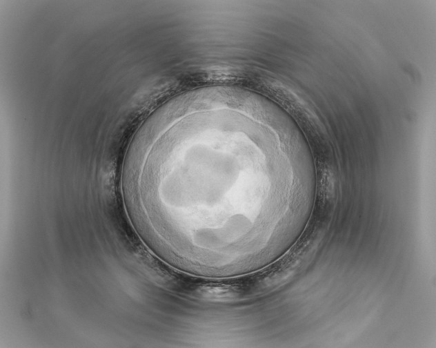 X0000112820557200909041517