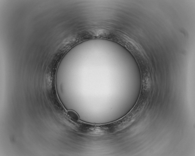 X0000112820558200909041517