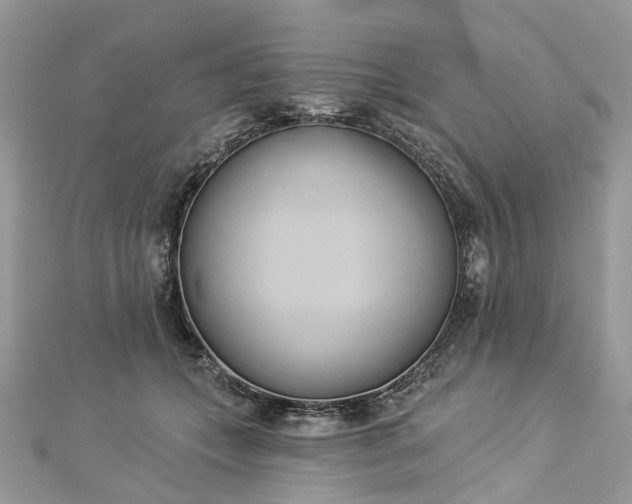 X0000112820559200909041517