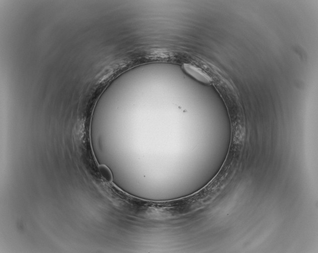 X0000112820560200909041517