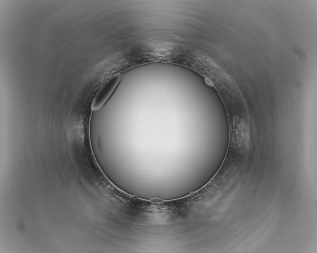 X0000112820562200909041517