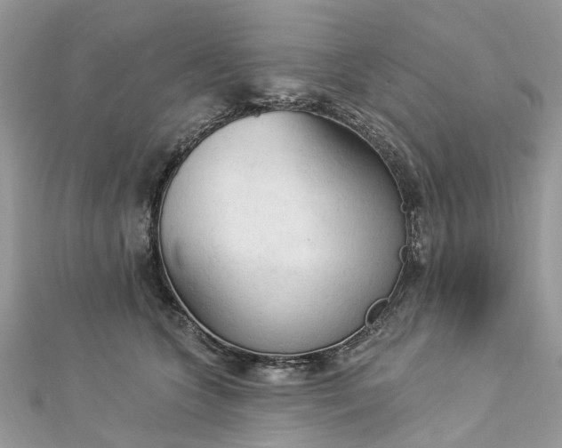 X0000112820563200909041517