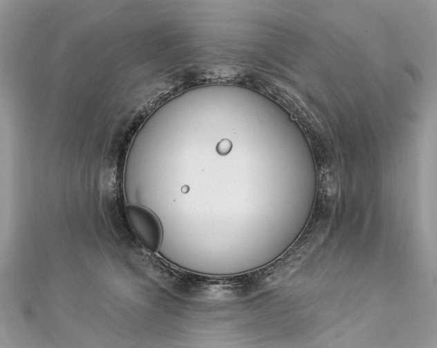 X0000112820564200909041517