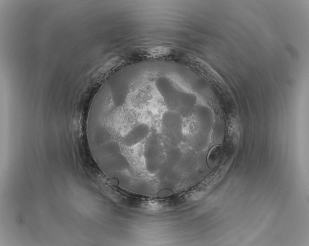 X0000112820565200909041517