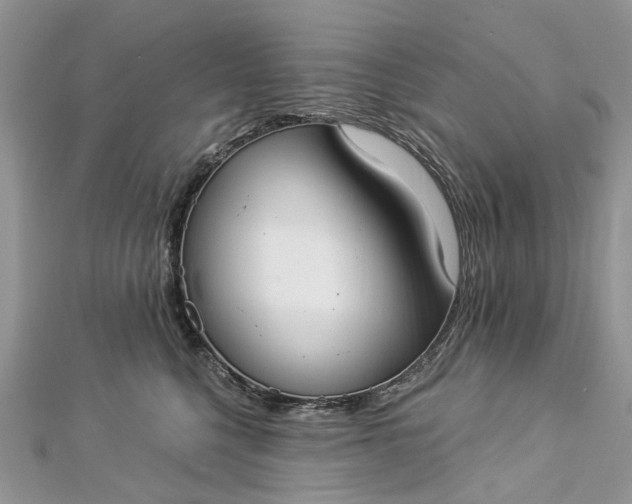 X0000112820568200909041517