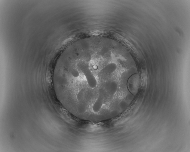 X0000112820569200909041517